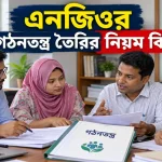 এনজিওর গঠনতন্ত্র তৈরি.png